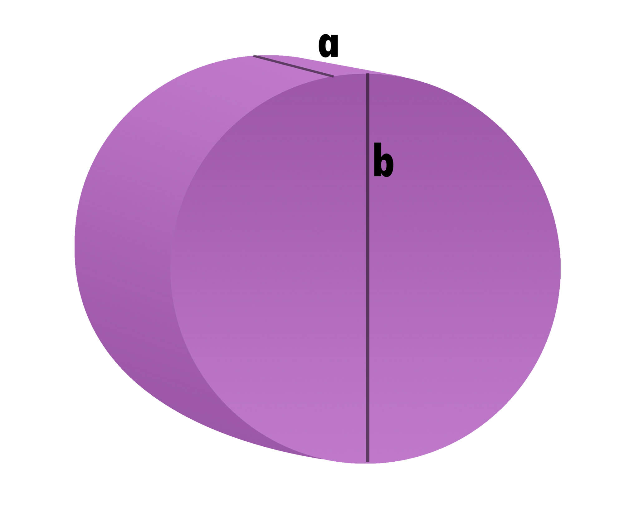 Vanpolster Scheibe nach Maß