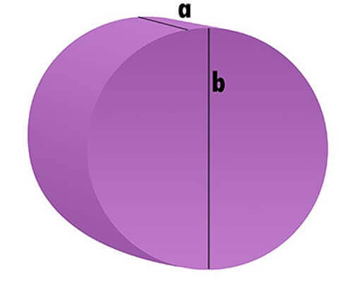 Kofferraum Hundekissen - Kreis-Scheibe