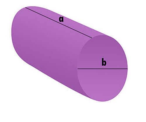 Kofferraum Hundekissen - Rolle
